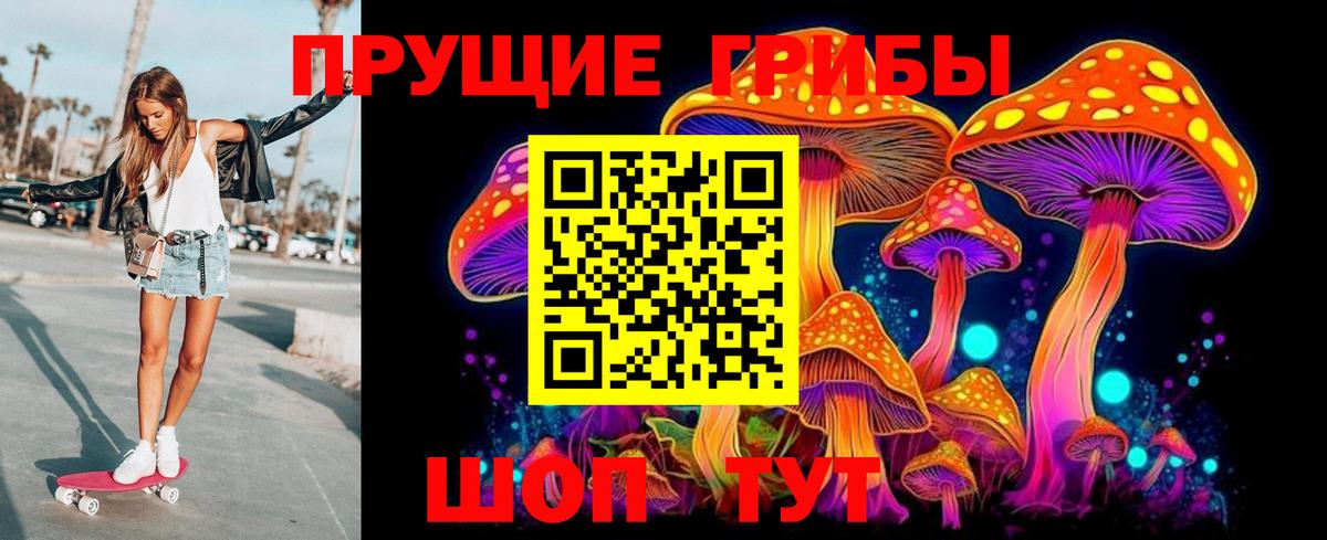 купить закладку  Галлюциногенные грибы мицелий  Вход с VPN  Орехово-Зуево  Галлюциногенные грибы Psilocybine cubensis 