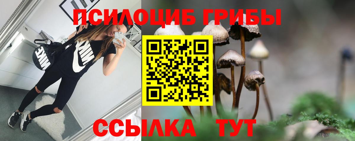Галлюциногенные грибы Cubensis Орехово-Зуево